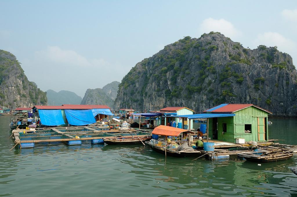 Bai Tu Long Junks Hạ Long Exterior foto