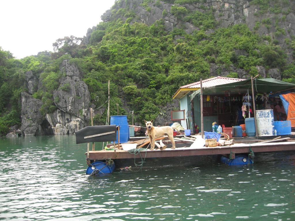 Bai Tu Long Junks Hạ Long Exterior foto